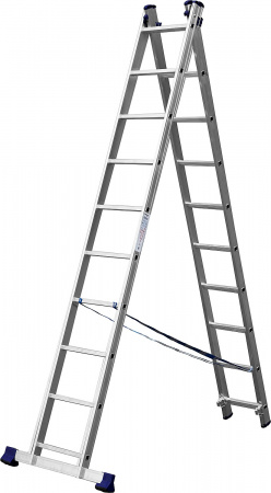 562259